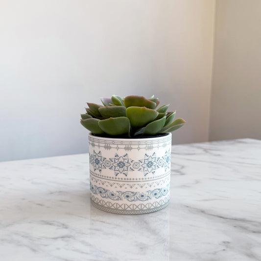 Safflower Planter Pot/ Tealight Holder