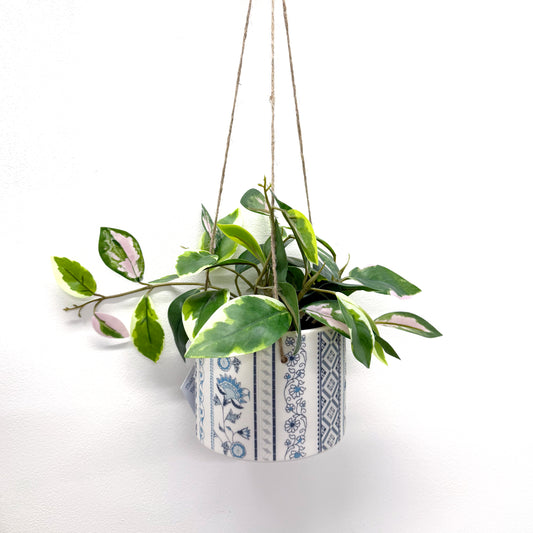 Large Hanging Planter Pot - Jasmine