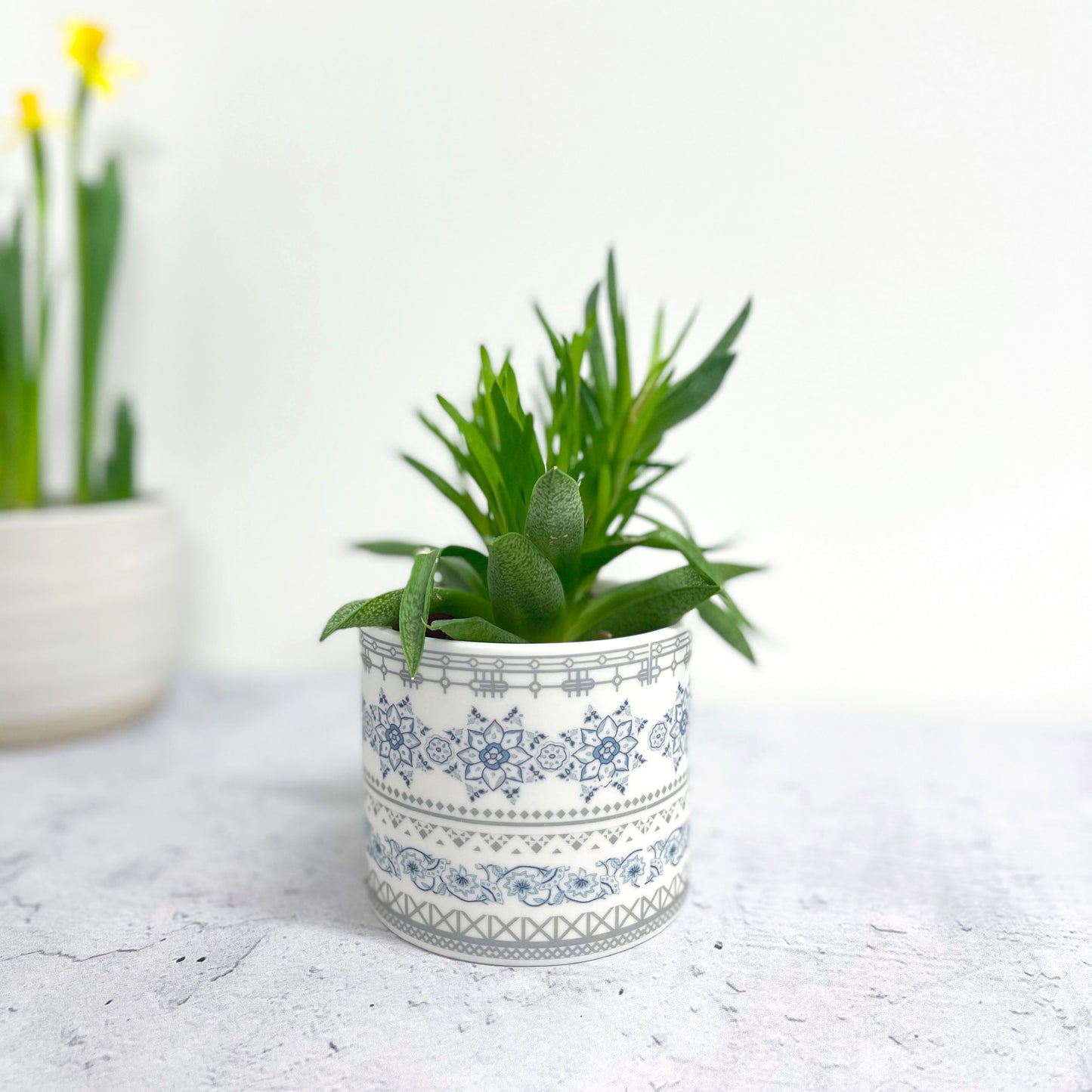 Large Safflower Planter Pot/ Tealight Holder